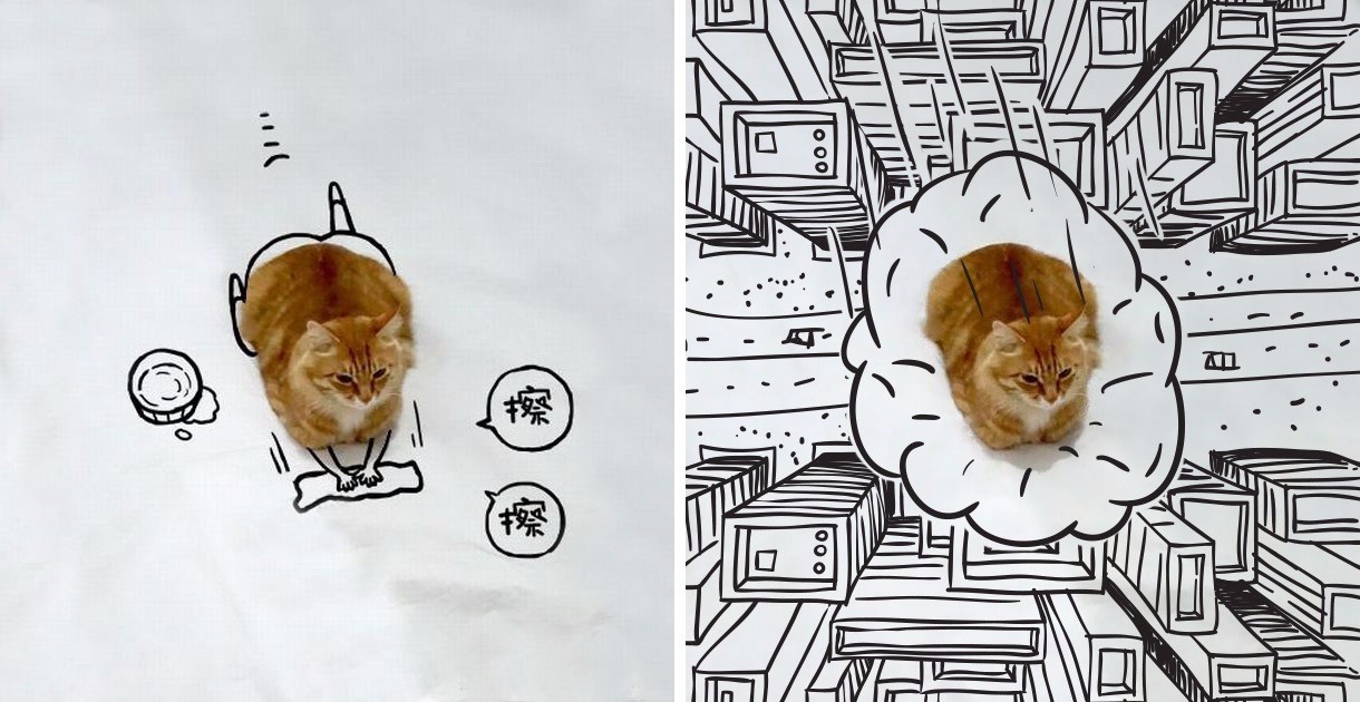 Kreatywni internauci przerabiają zdjęcie rudego kota, wzbogacając je swoimi rysunkami.