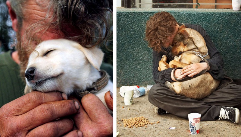18 zdjęć ukazujących wierne psy, które bezwarunkowo kochają swoich właścicieli.
