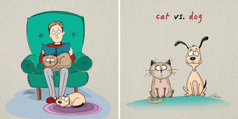6 przekonujących obrazków, ilustrujących fundamentalne różnice między psem a kotem.