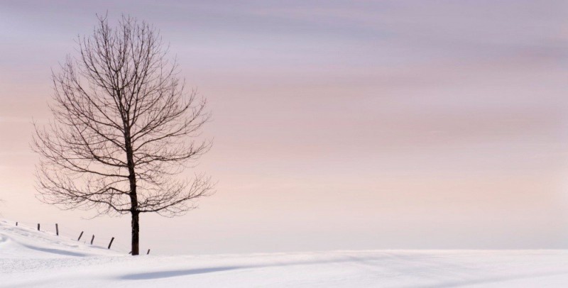 20 malowniczych zdjęć, ukazujących doskonałość minimalistycznych, zimowych pejzaży.