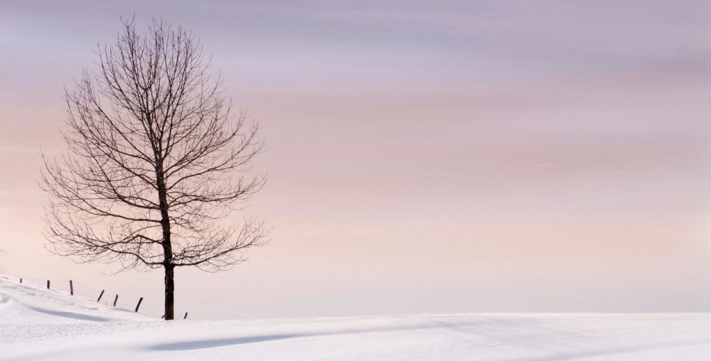 20 malowniczych zdjęć, ukazujących doskonałość minimalistycznych, zimowych pejzaży.