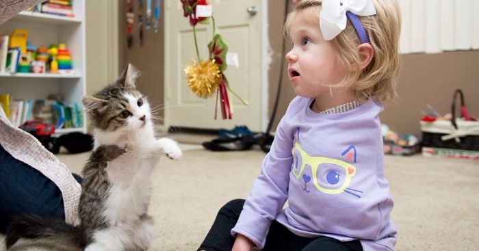 Trójnogi kociak zostaje najlepszym przyjacielem dziewczynki bez lewej rączki, amputowanej z powodu choroby.