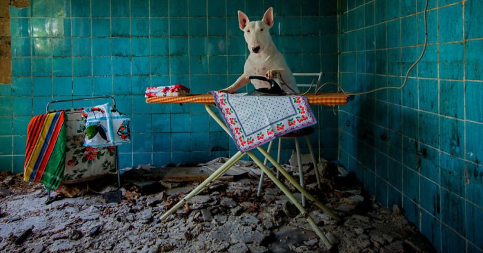Artystka podróżuje ze swoim psem po Europie, fotografując opuszczone budynki.
