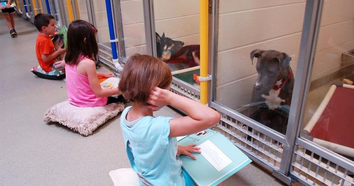 Amerykańskie dzieci uspokajają bezpańskie psy, czytając książki w schroniskach.