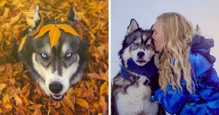 Kiedy zdecydowała się na adopcję psiaka, nie przypuszczała, że nowy przyjaciel całkiem odmieni jej życie.