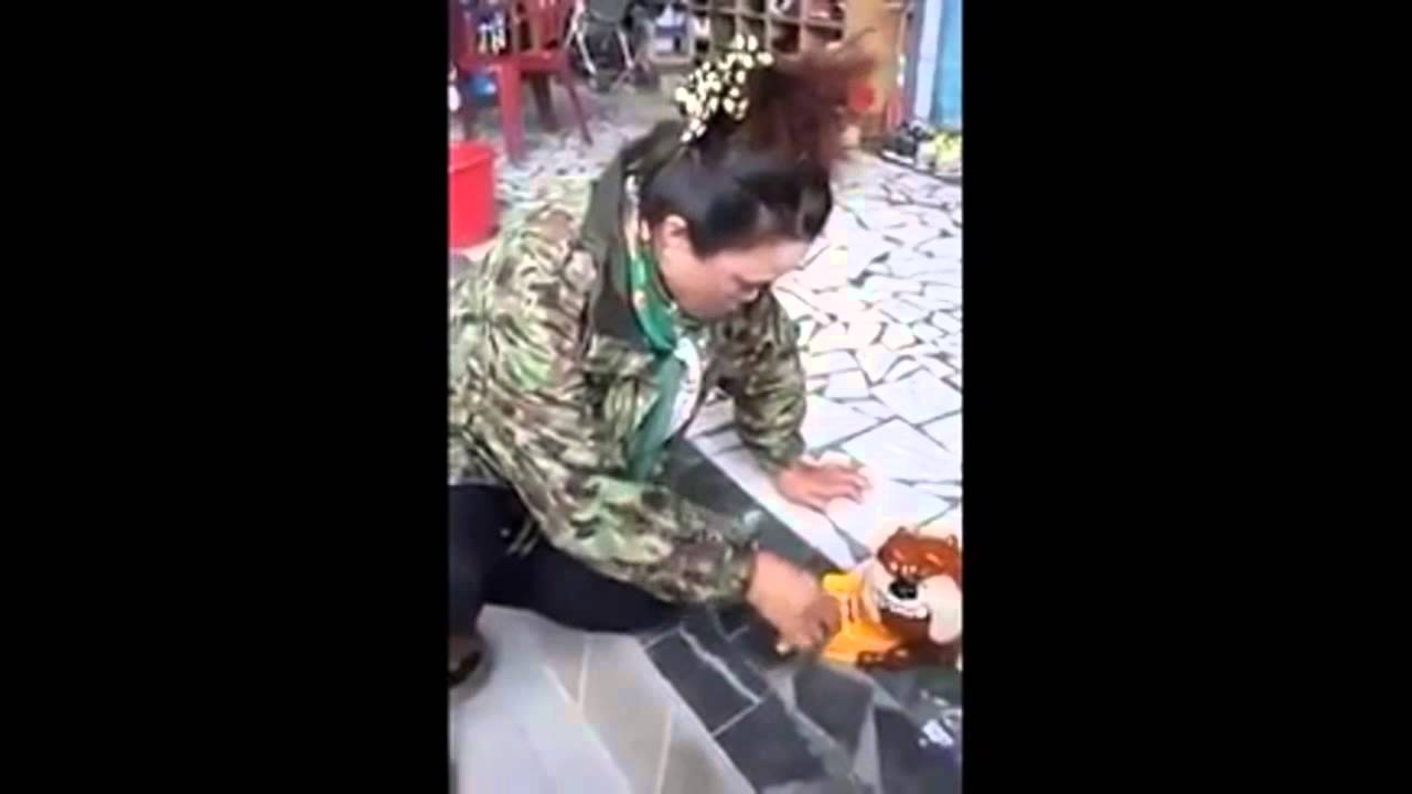 Chiński żywo psa-zabawki