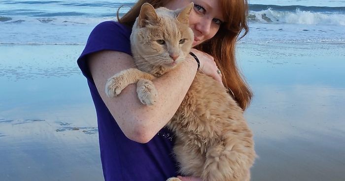21-letni kot porzucony w klinice weterynaryjnej odnalazł nową właścicielkę i odzyskał zagubione szczęście.