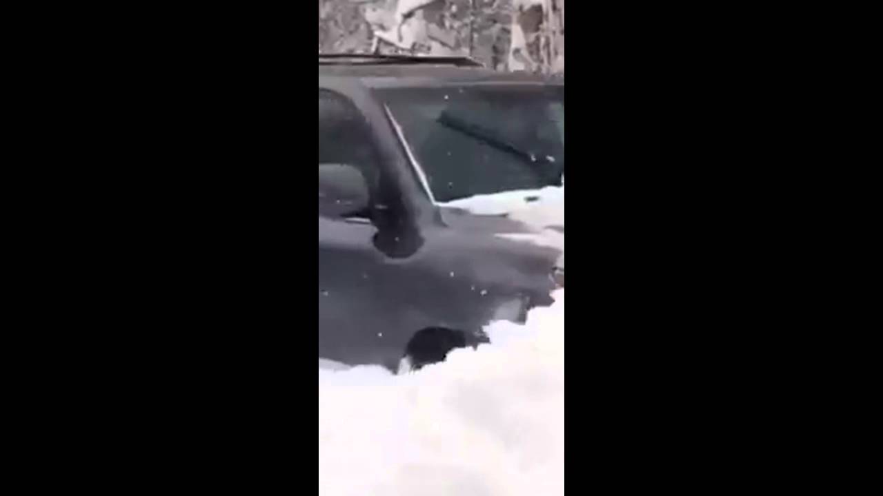 Rosyjski nie boją się śniegu