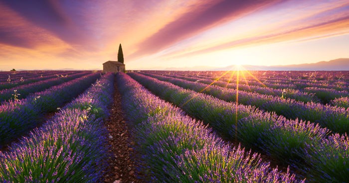 Francuski fotograf spędził 3 lata w podróży, poszukując doskonałego słońca.