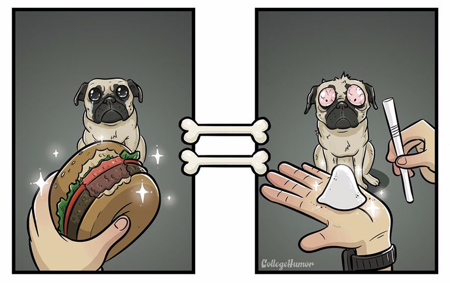 7 obrazków ilustrujących postrzeganie świata przez przeciętnego psa.
