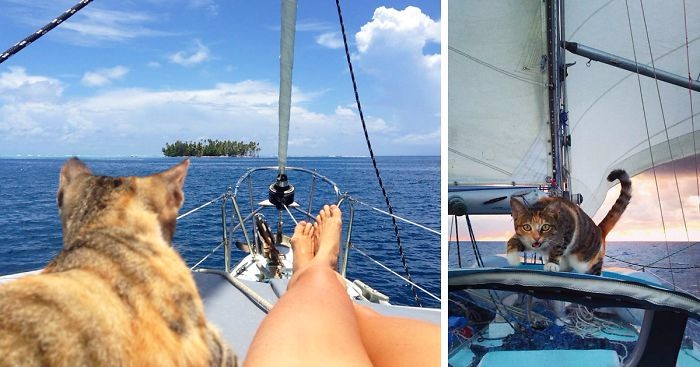 Kobieta porzuciła pracę, by żeglować po świecie w towarzystwie wyciągniętej zza burty kotki.