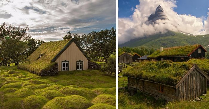 12 zachwycających nordyckich budynków, pokrytych bujną roślinnością.