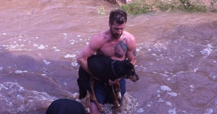 Obcy mężczyzna wskoczył do lodowatej wody, by uratować życie tonącemu psu.