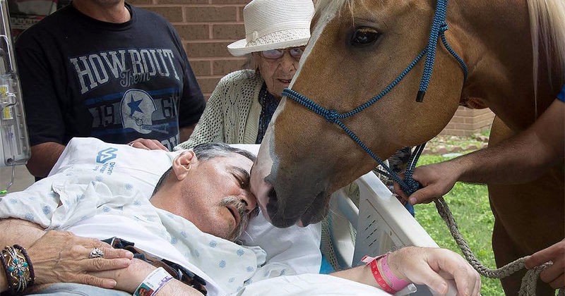 Podupadający na zdrowiu weteran wojenny zostaje pożegnany przez swoje wierne konie.
