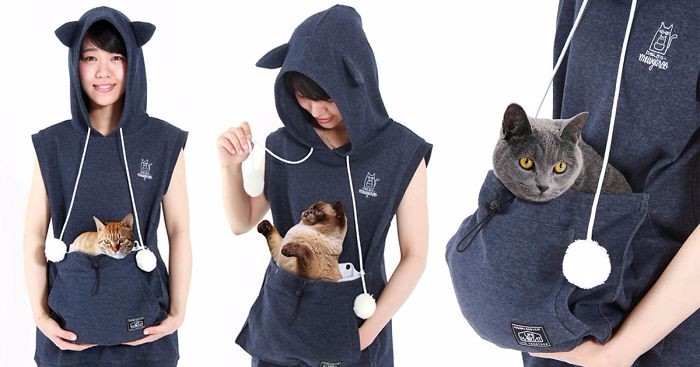 Bluza z torbą na kota – dzięki niej Ty i Twój zwierzak staniecie się nierozłączni!