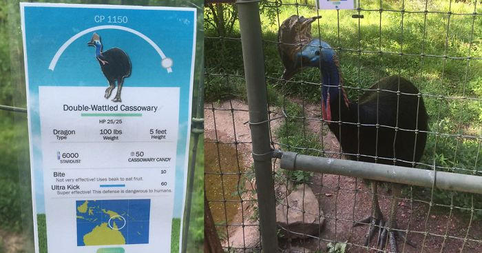 Zoo w Alabamie zaskoczyło odwiedzających pokaźną kolekcją unikatowych Pokémonów.