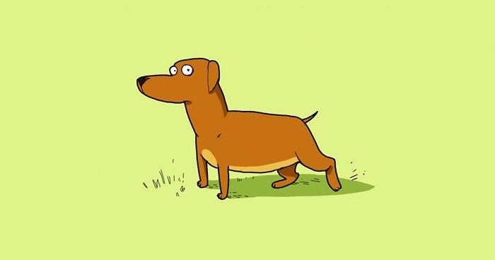 10 życiowych ilustracji, które doskonale zrozumie każdy właściciel psa.