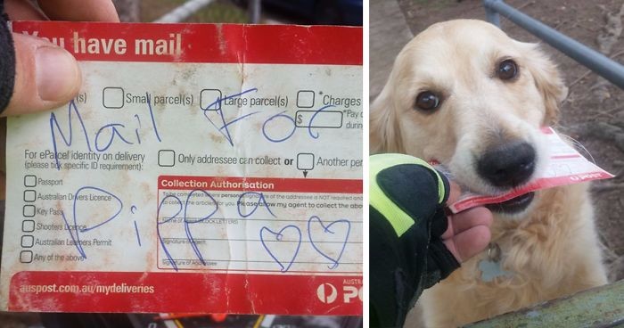 Listonosz z Brisbane regularnie uszczęśliwia przesyłkami psiaka o wyjątkowym upodobaniu do listów.