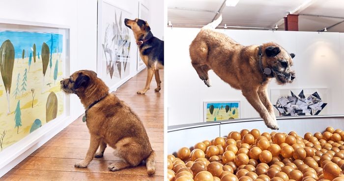 Londyńska ekspozycja tymczasowa dla psów zwabiła rzesze ciekawskich właścicieli czworonogów.
