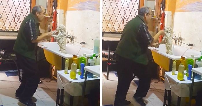 Psi fryzjer z Argentyny przyłapany na doskonałej zabawie w czasie pracy. Jego klienci go uwielbiają!