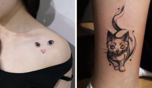 15 najciekawszych tatuaży dla prawdziwych wielbicieli kotów.