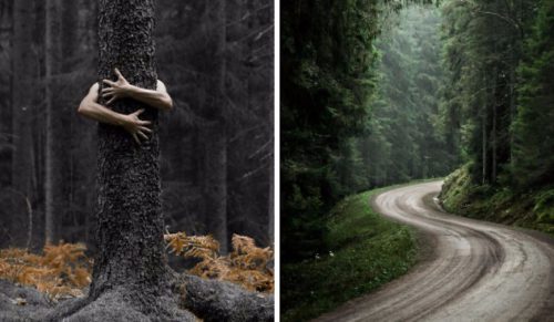Najpiękniejsze oblicza Szwecji w obiektywie fotografa zaintrygowanego tajemnicami dzikiej przyrody.