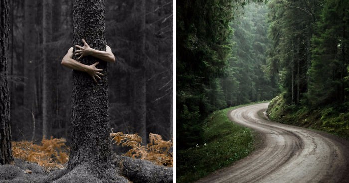 Najpiękniejsze oblicza Szwecji w obiektywie fotografa zaintrygowanego tajemnicami dzikiej przyrody.