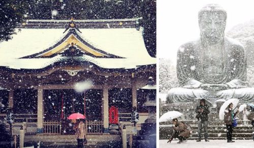 Mieszkańców Tokio zaskoczyły pierwsze od pół wieku listopadowe opady śniegu.