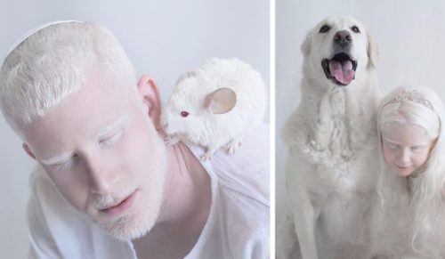 Hipnotyzujące piękno albinosów na fotografiach powstałych bez użycia Photoshopa.