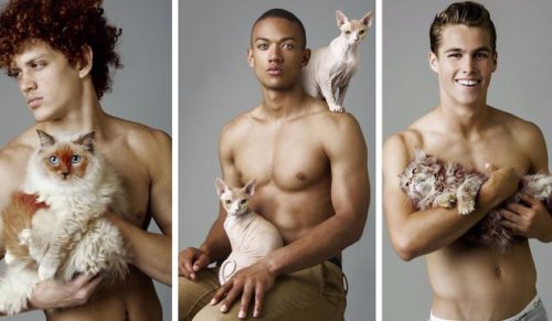 Włoski fotograf stworzył serię doskonałych zdjęć, ukazujących modeli w towarzystwie uroczych kociaków.