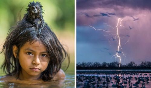 15 najlepszych zdjęć roku opublikowanych przez National Geographic.
