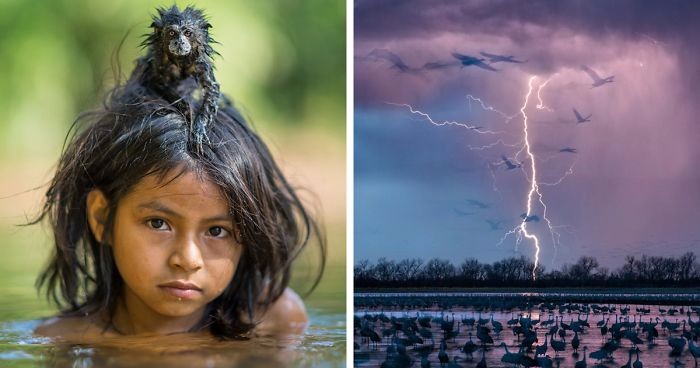 15 najlepszych zdjęć roku opublikowanych przez National Geographic.