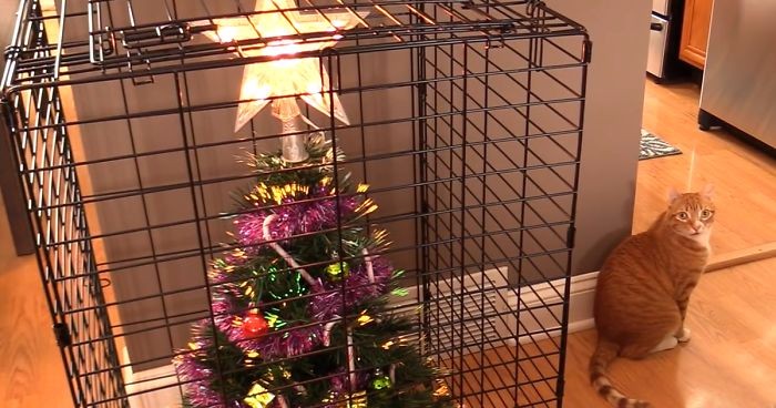 15 genialnych sposobów na uchronienie choinki przed świątecznym entuzjazmem zwierząt domowych.