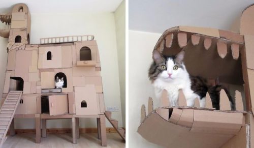 Właściciel kota zbudował dla swojego pupila kartonowy dom wzorowany na postaci smoka.