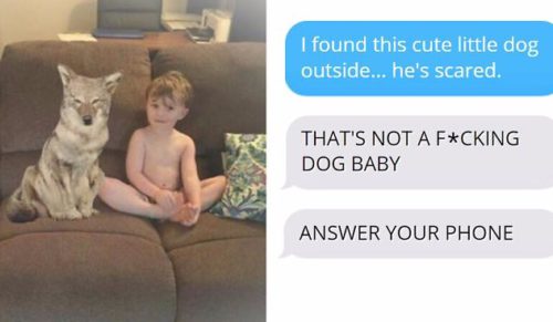 Kobieta wysłała mężowi zdjęcia przygarniętego psa, który okazał się kojotem. Poważnie się wystraszył!