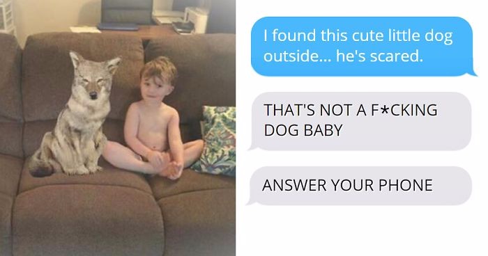 Kobieta wysłała mężowi zdjęcia przygarniętego psa, który okazał się kojotem. Poważnie się wystraszył!
