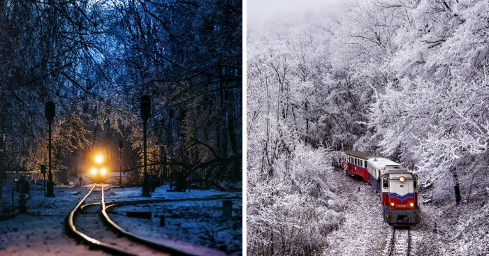 Fotograf spędził noc w malowniczym, zimowym lesie, by uchwycić na zdjęciach jego niesamowite piękno.