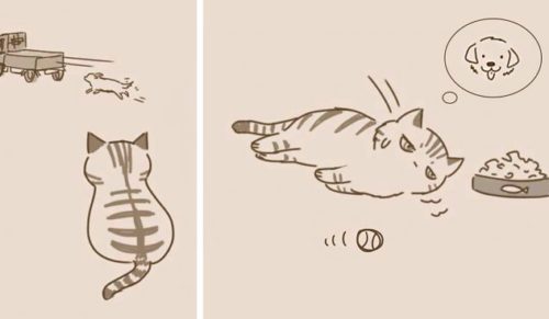 Chiński komiks o niespodziewanym zakończeniu odkryje przed Tobą nieznaną stronę kotów.