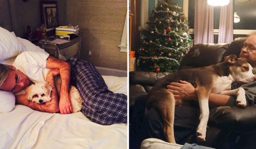 10 wymownych zdjęć typowych ojców, którzy nie chcieli zgodzić się na adopcję psa.