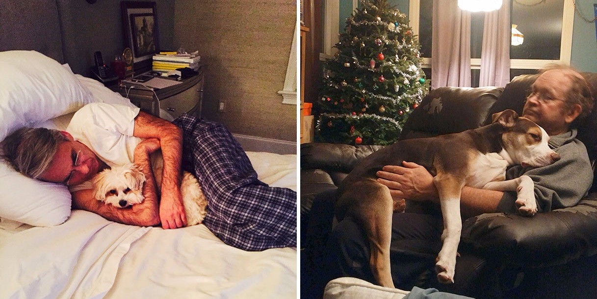 10 wymownych zdjęć typowych ojców, którzy nie chcieli zgodzić się na adopcję psa.
