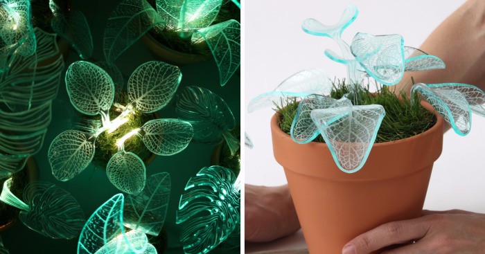 Izraelska artystka zaprojektowała serię lamp inspirowanych organiczną formą zimozielonych roślin.