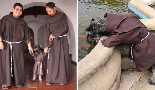 Klasztor w Boliwii przygarnął bezpańskiego psa, który cieszy się od teraz życiem prawdziwego mnicha.