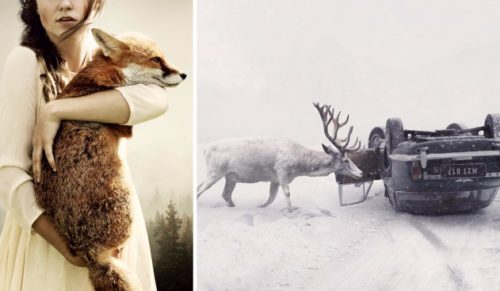 Czeski fotograf podąża śladami dzikich zwierząt, które otrzymały od losu drugą szansę.