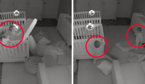 Rodzice 2-letnich bliźniaków nie mogli uwierzyć, co dzieje się w nocy w pokoju ich maluchów!