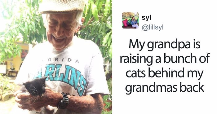 Kochający dziadek wychowuje kocięta w ukryciu przed żoną, która wyraźnie mu tego zabroniła.