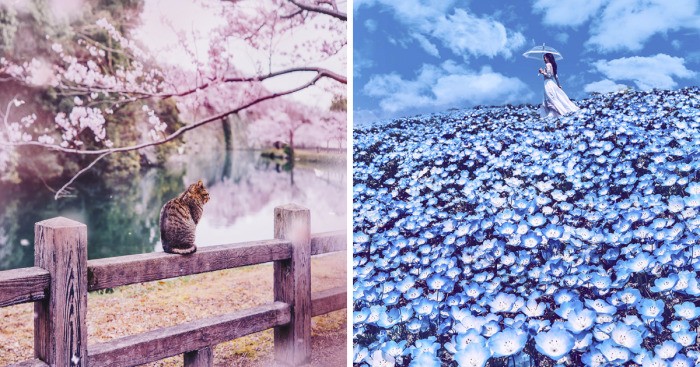 Kupiła bilet do Japonii, by podziwiać piękno kwitnącej wiśni. Wylądowała w prawdziwie bajkowej krainie!