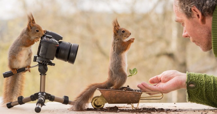Od czterech lat fotografował dzikie wiewiórki – tym razem zamienili się rolami.