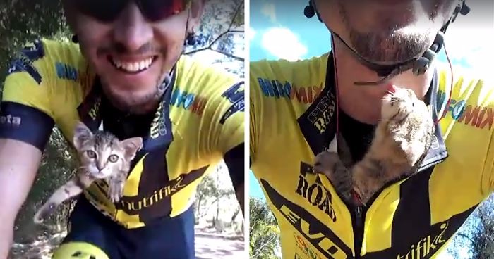 Rowerzysta uratował kociaka i umieścił go w swojej koszulce. Maleństwo nie przestawało mu dziękować!