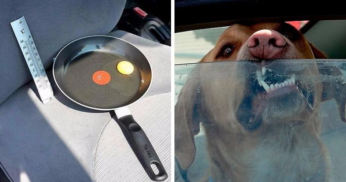 W gorący dzień zostawił w samochodzie jajko na patelni, by uzmysłowić właścicielom psów coś ważnego.