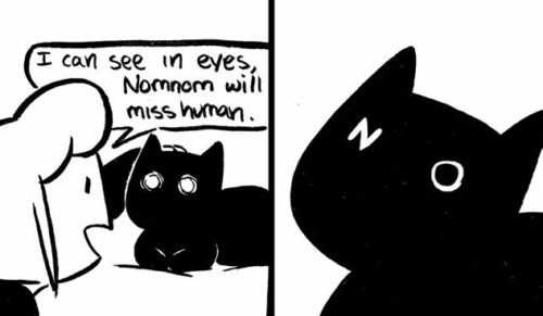 21 czarno-białych komiksów, które doskonale podsumowują życie właściciela kota.